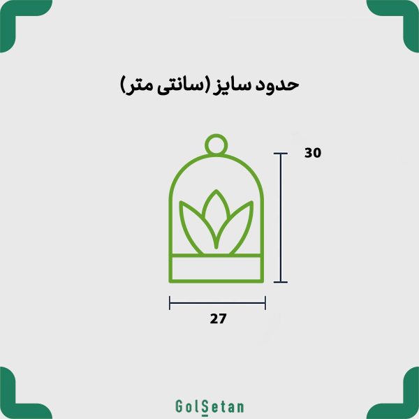 ابعاد تراریوم سینگونیوم و شامادورا