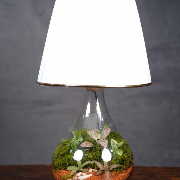 آباژور تراریوم سفید