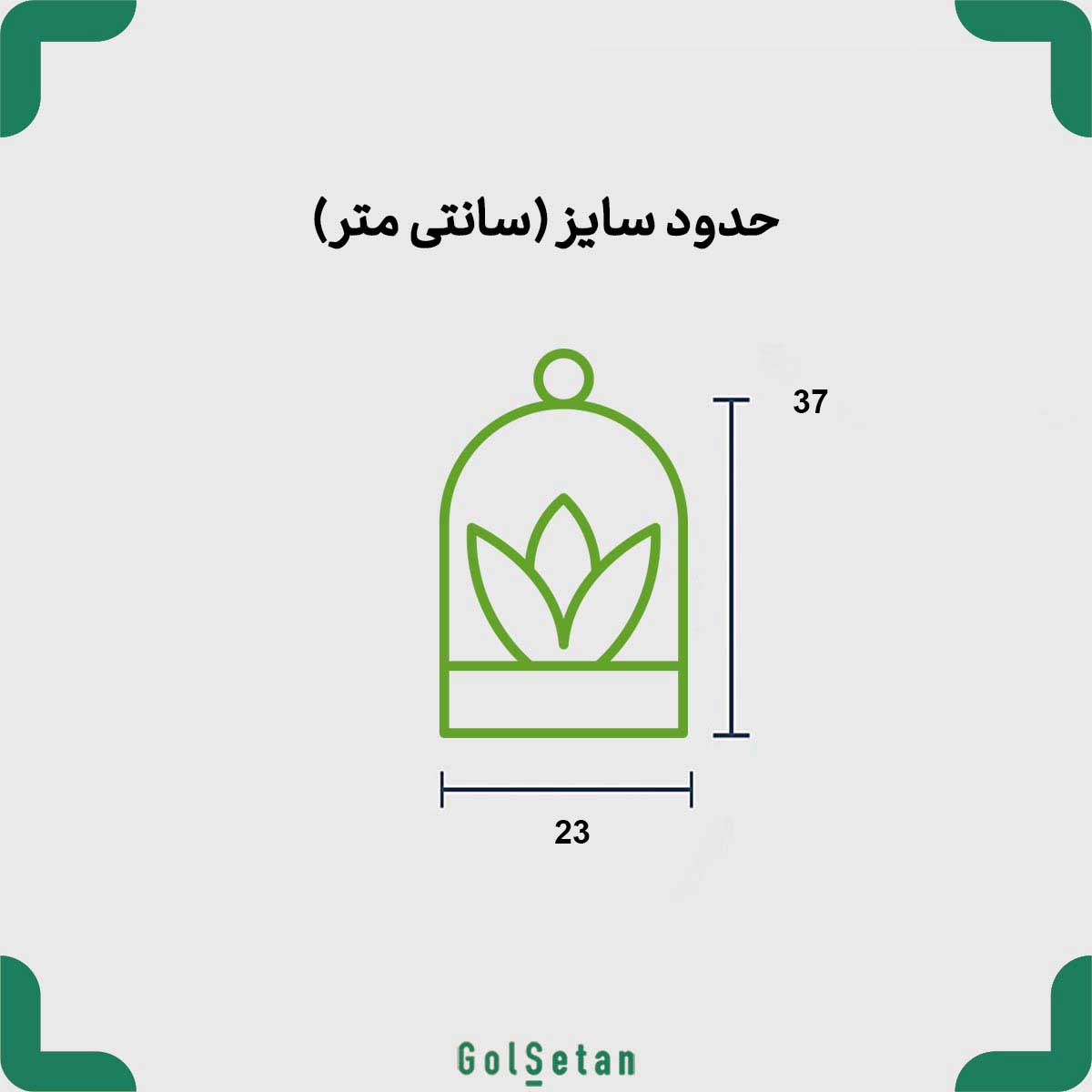 glass-graden-terrarium-size ابعاد تراریوم سرامیکی سینگونیوم شامادورا