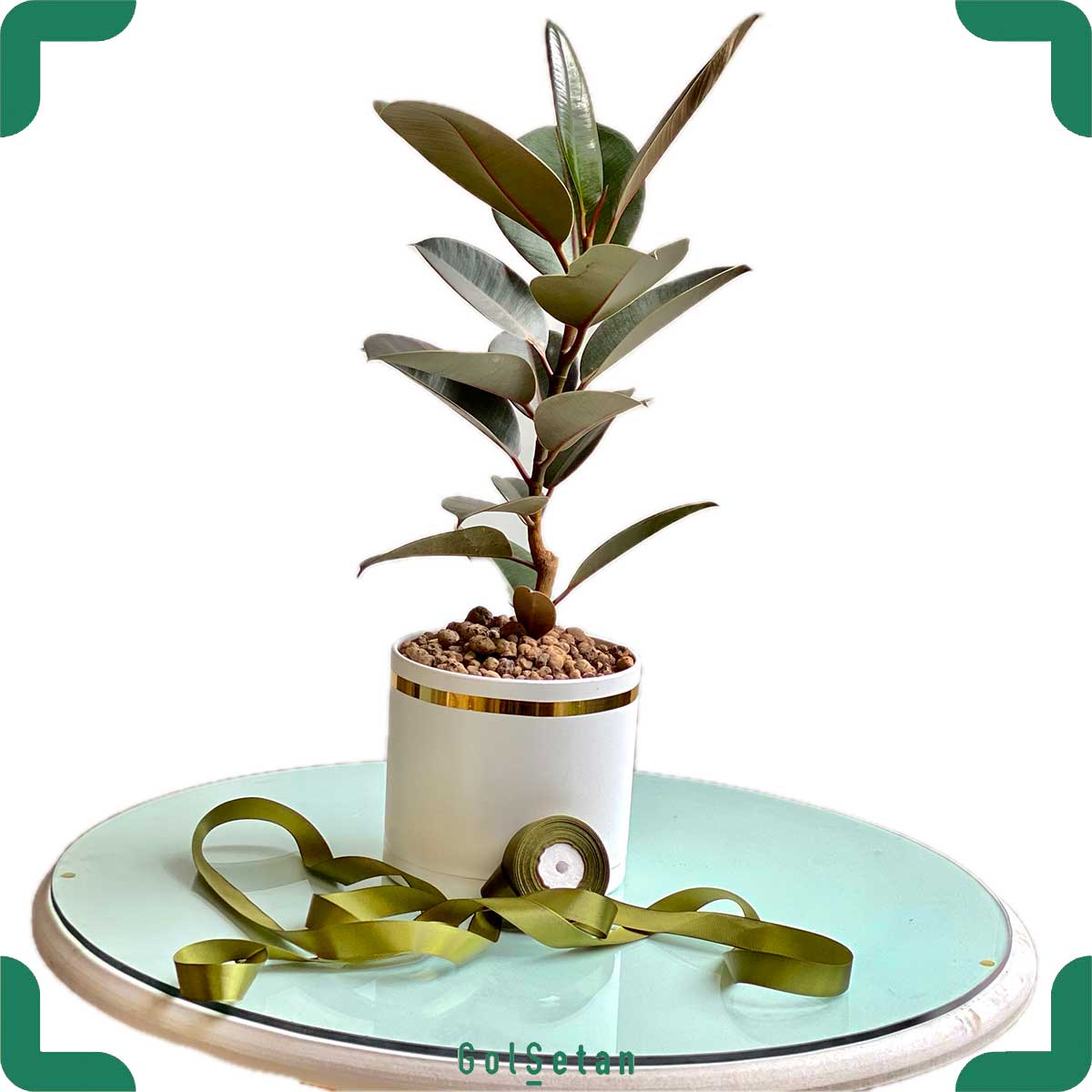 fikoos-elastika-black-model01