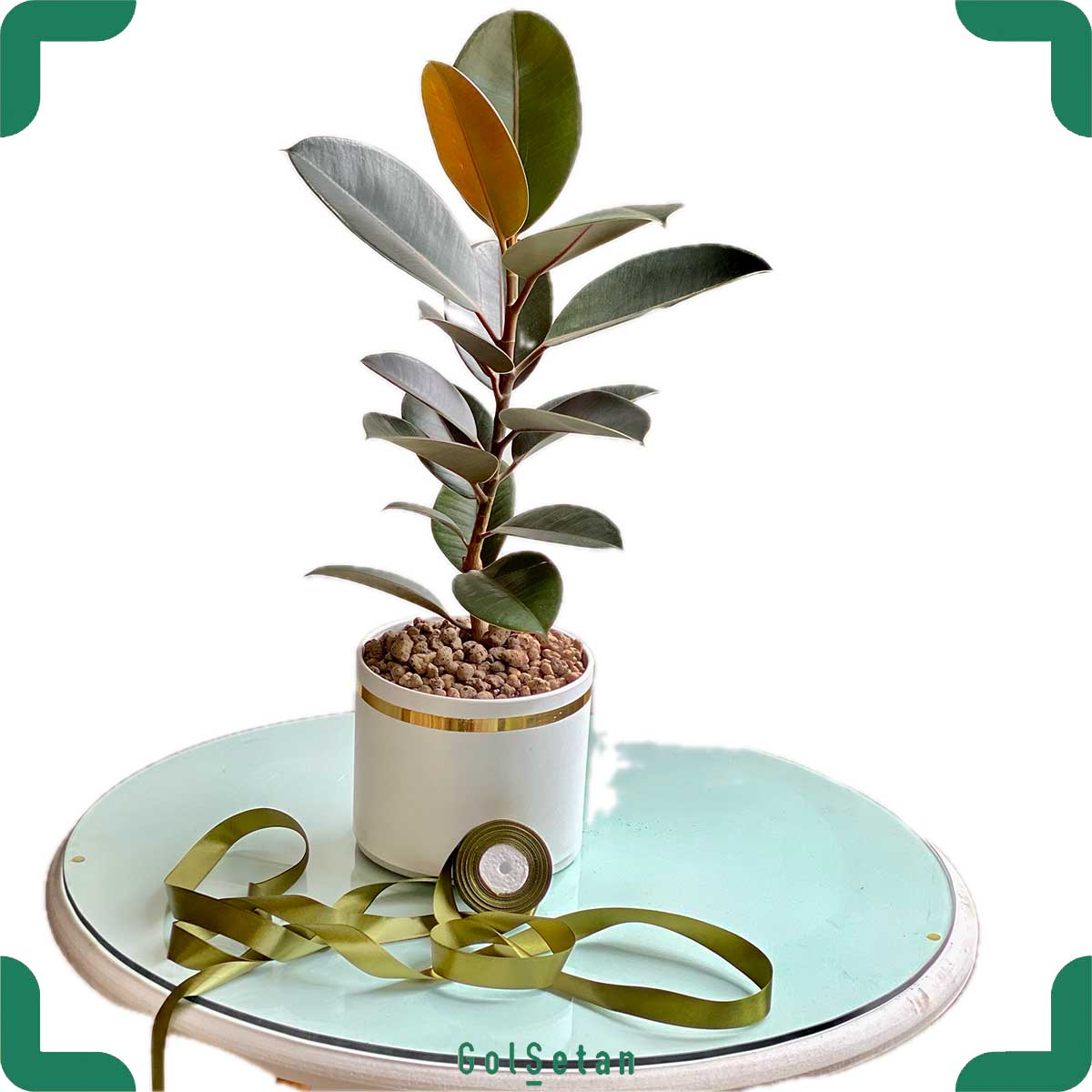 fikoos-elastika-gift-black-model01