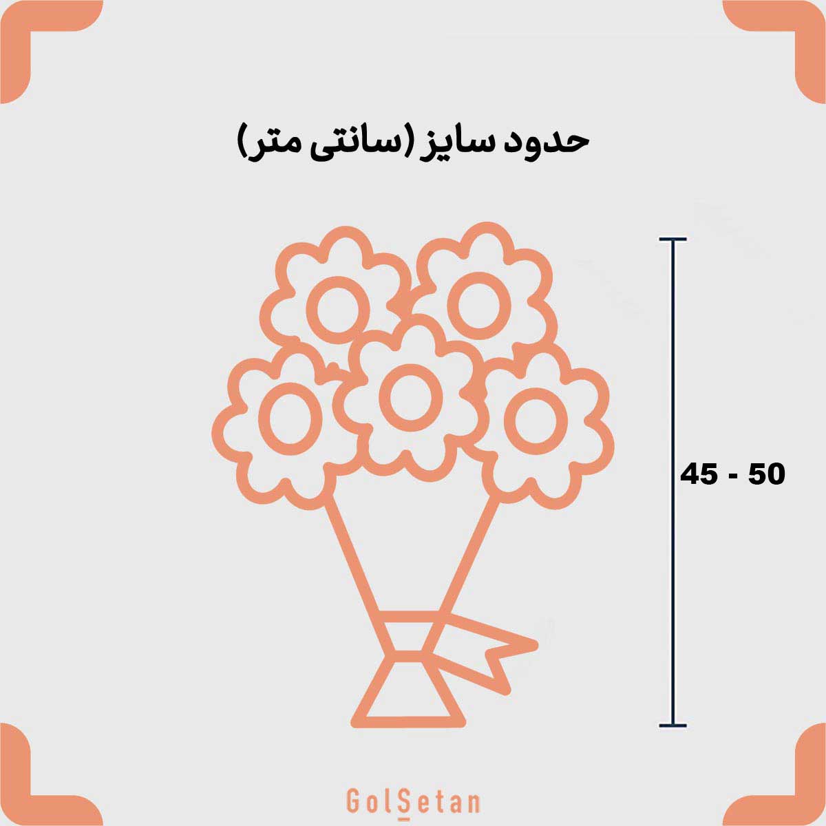 Roses-Model-S89-dimension