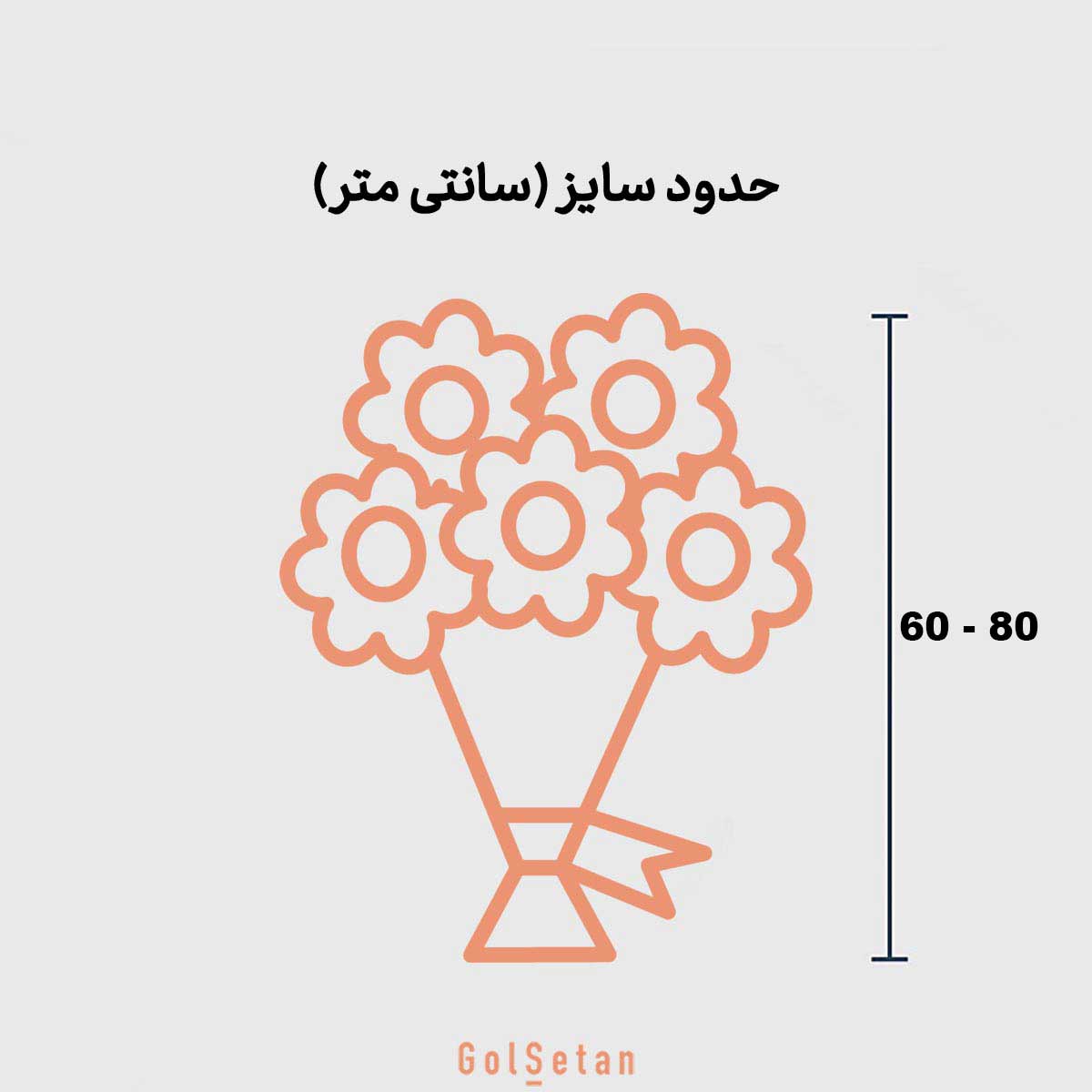 Rose-18shakhe-S116-dimension