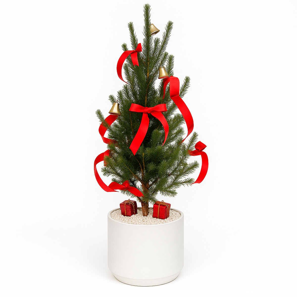 kaj-noel-crismas-P117-1