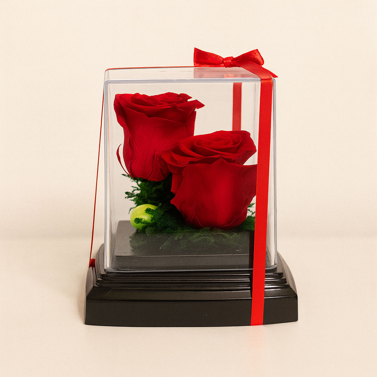 Eternal-Rose-R20